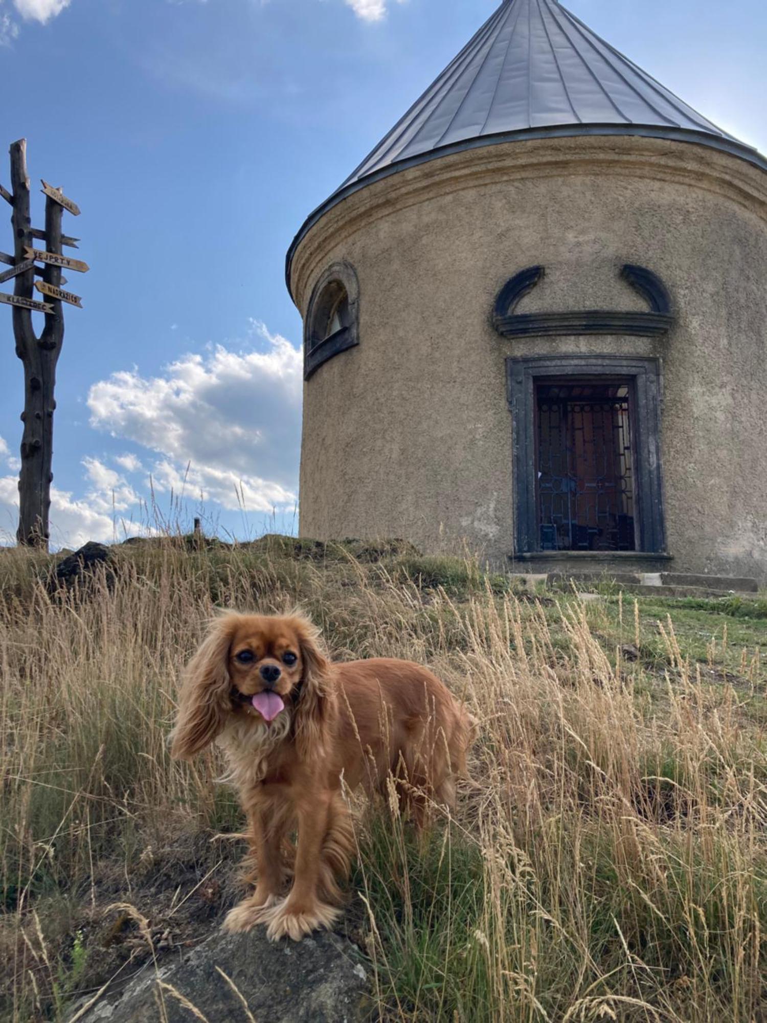 Apartmán u Klínovce Kovářská Exterior foto